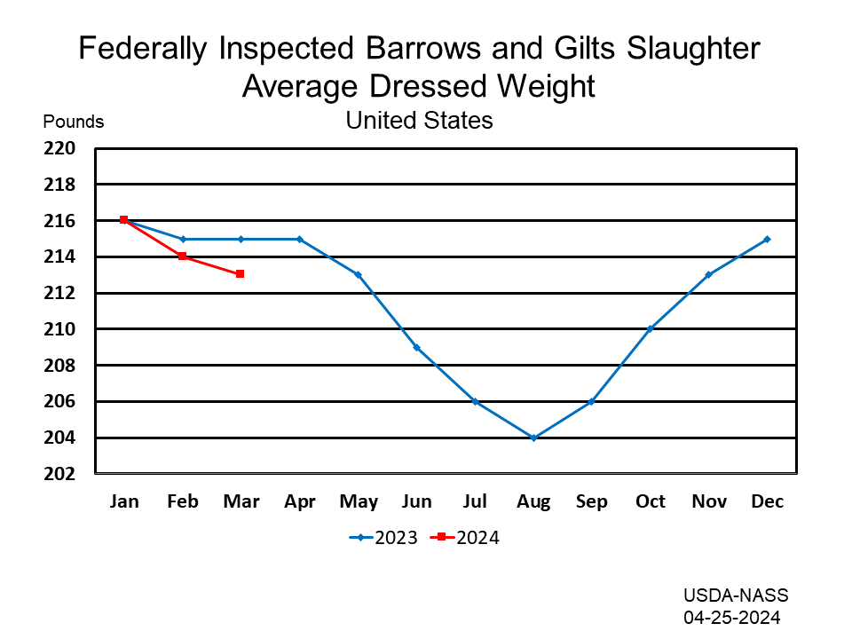 Federally Inspected Barrows and Gilts Slaughter