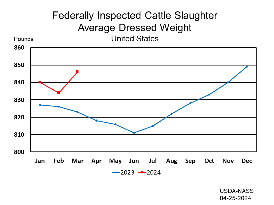 Federally Inspected Cattle Slaughter