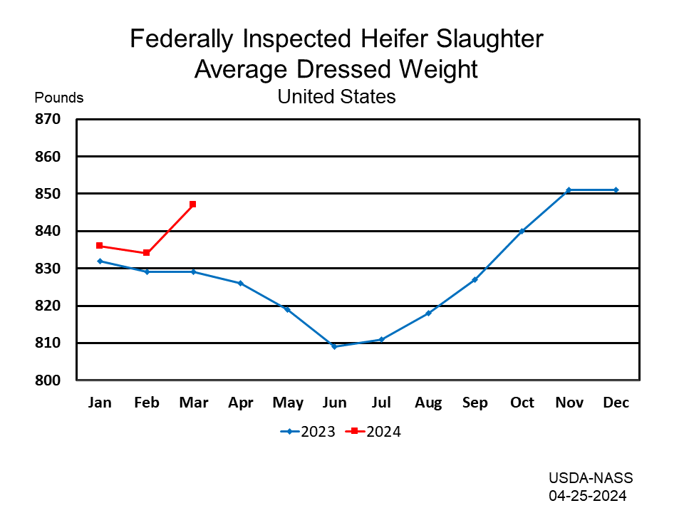 Heifers: Federally Inspected Average Dressed Weight by Month and Year, US