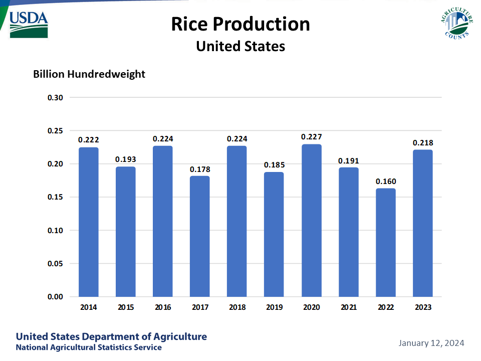 Rice: Production by Year, US