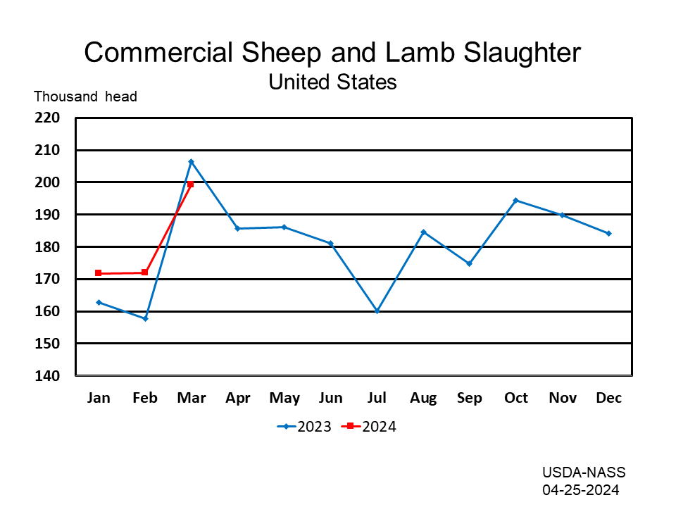 Sheep: Commercial Slaughter Number of Head by Month and Year, US