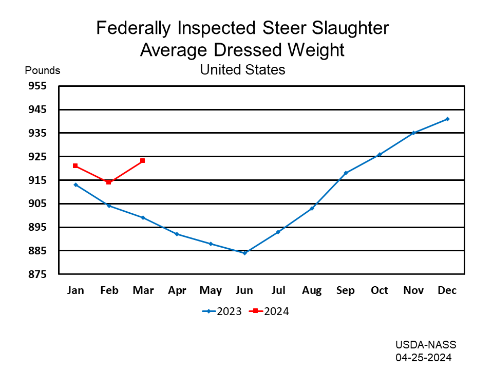 Federally Inspected Steer Slaughter