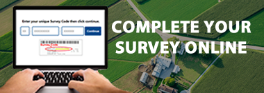 Complete your survey online.